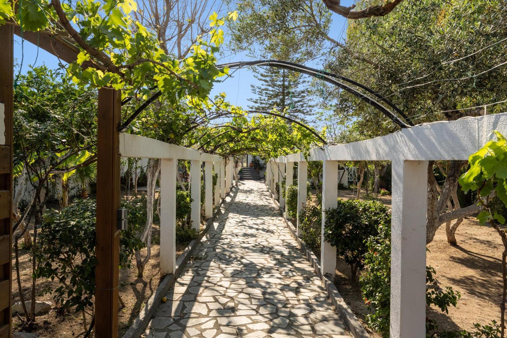 Ariadni Apartments Faliraki Extérieur photo